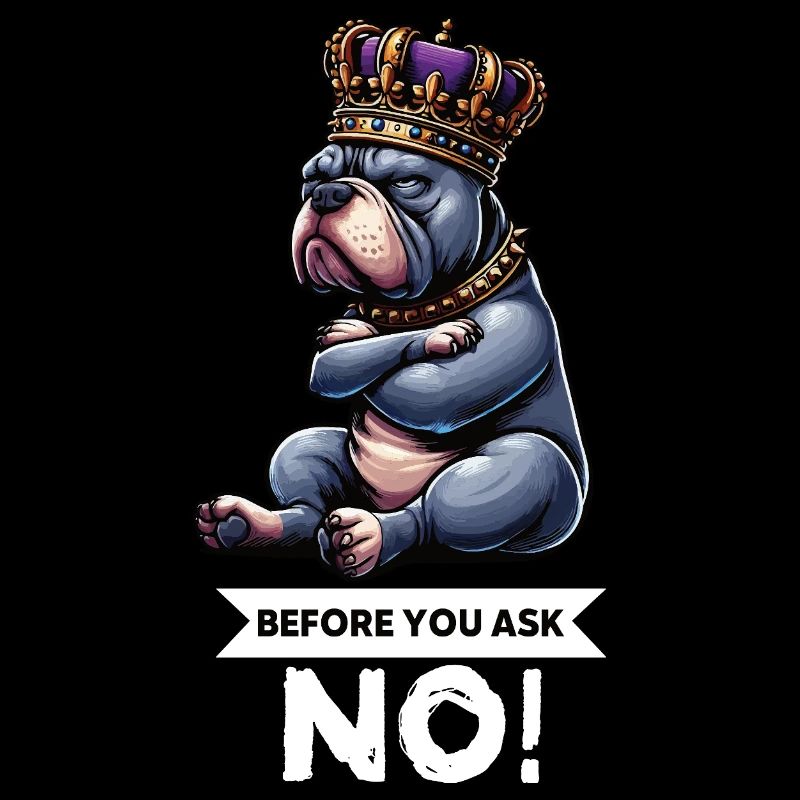 Before You Ask American Bully Bully Pit Bullys