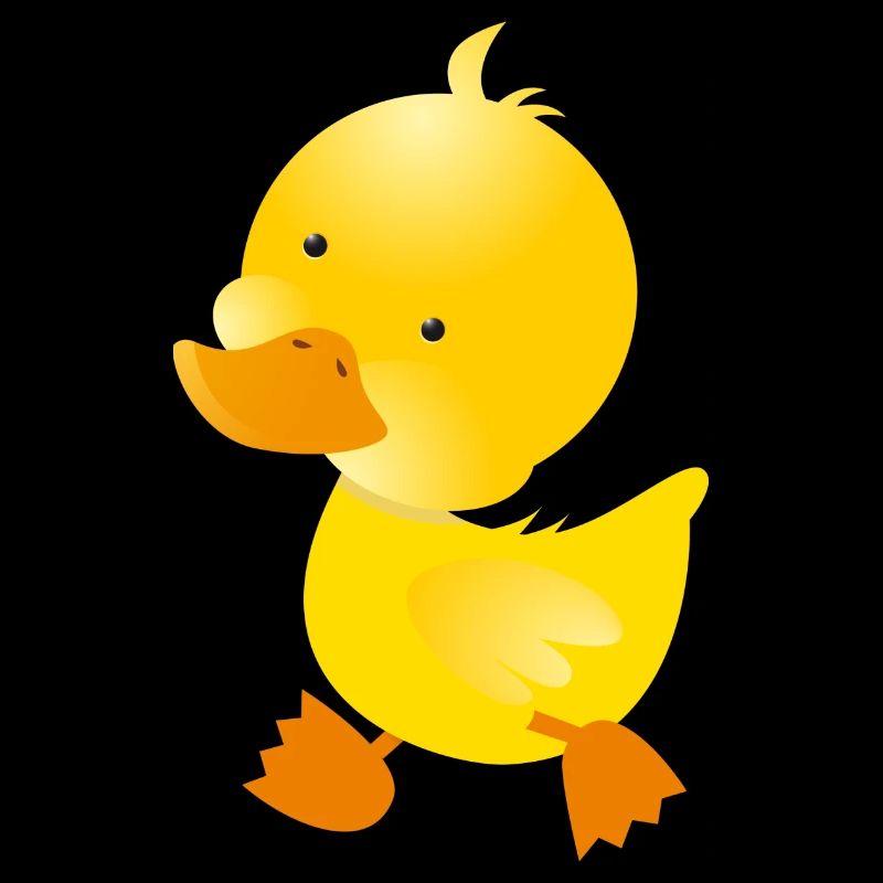 little Duck