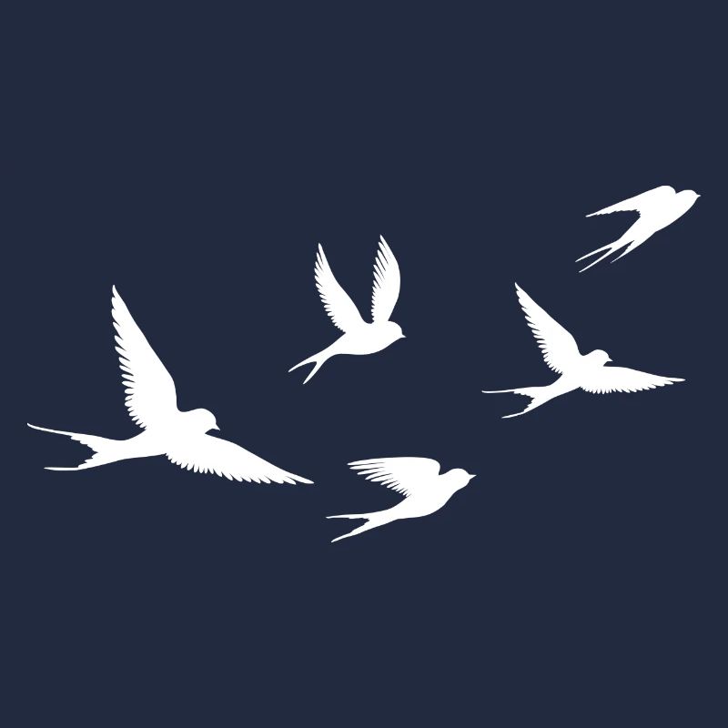 Birds | Oiseau