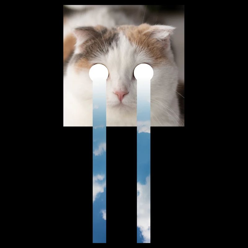 LE CHAT ET LE CIEL