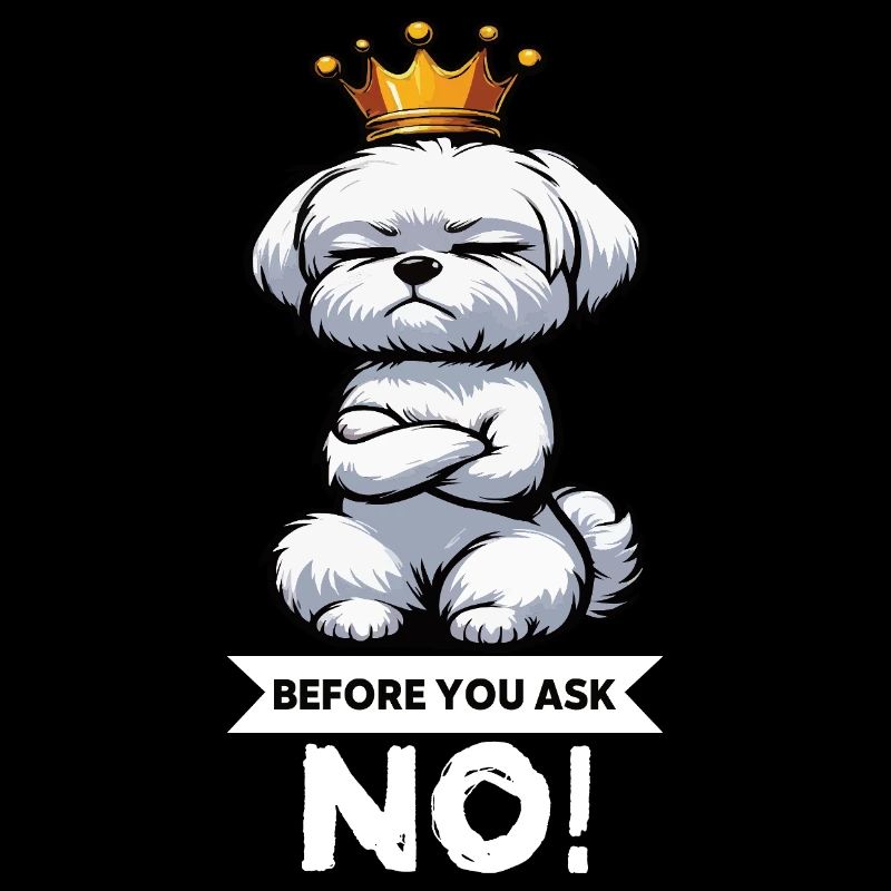 Before You Ask Malteser Maltese Owners Maltese