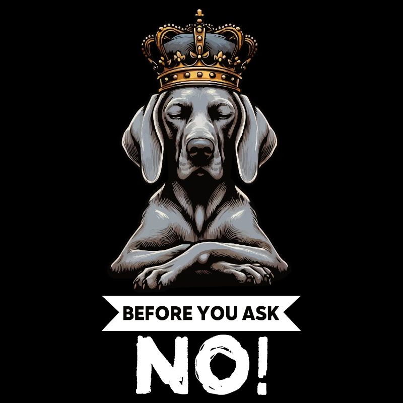 Before You Ask Weimaraner Weimaraner Lovers
