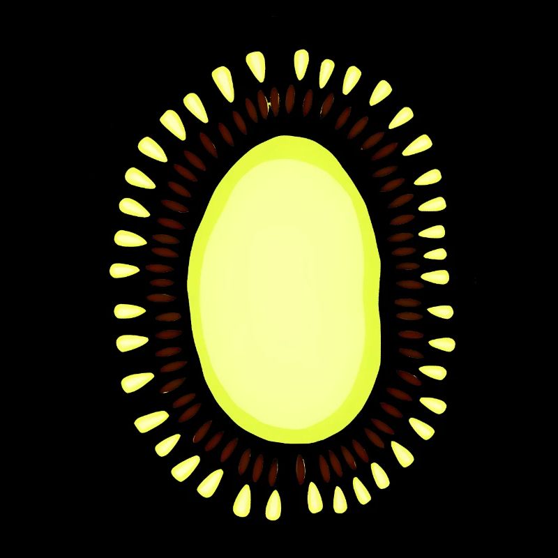 Carnaval Carnaval Kiwi Fruits Remplacement de costume