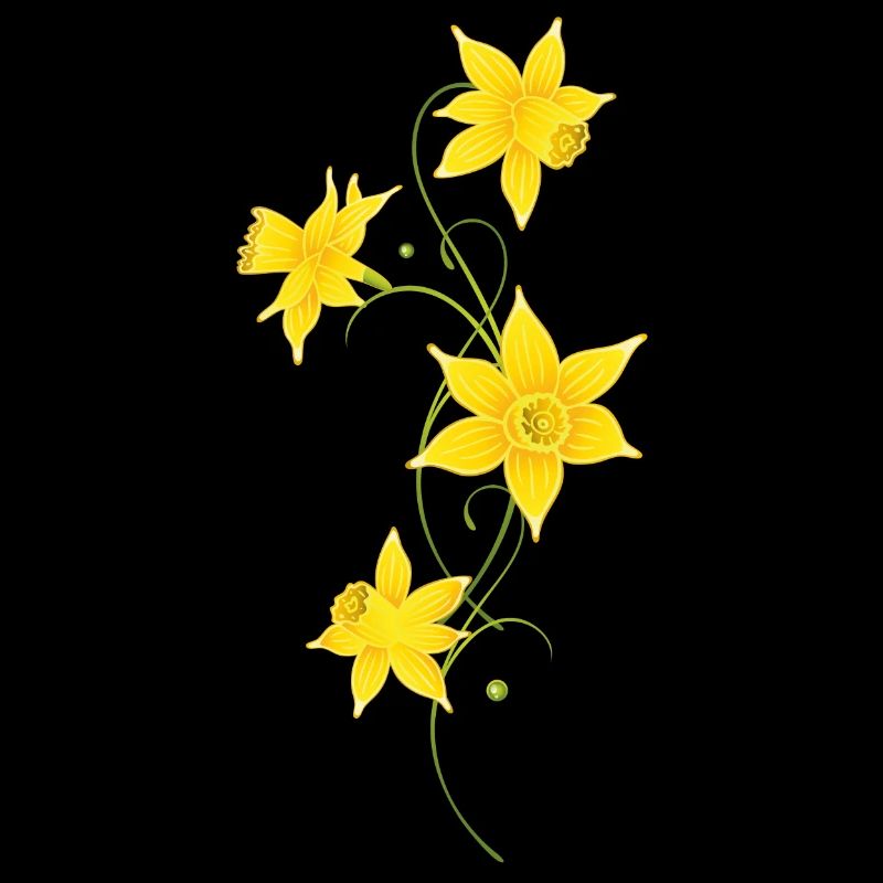 Fleurs de jonquilles, filigrane. Printemps, Pâques