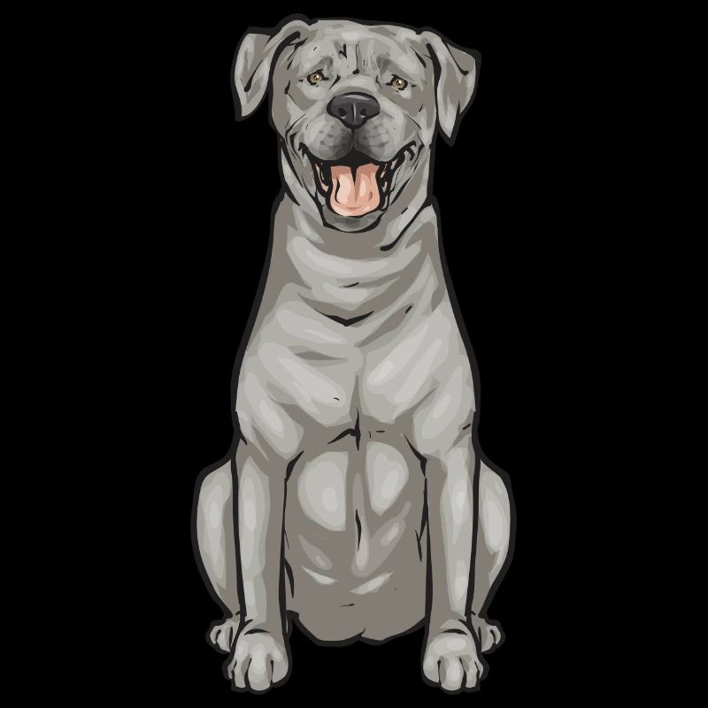 Silver Labrador Retriever Silver Lab