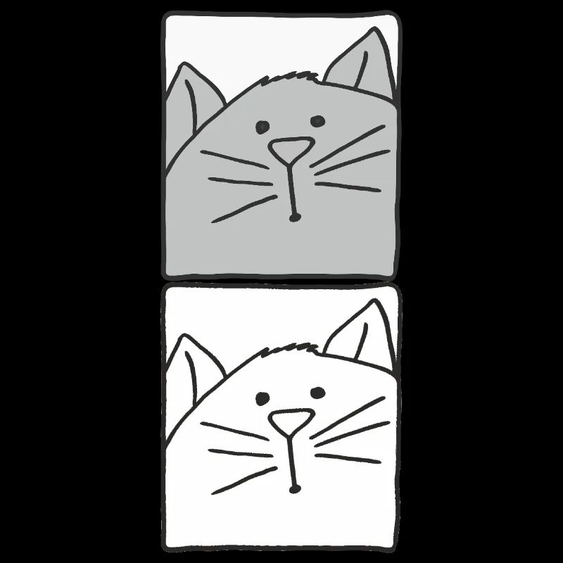 Cat Grey and White