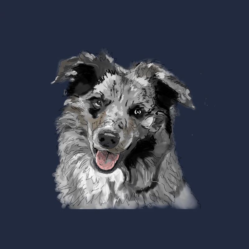 Australian Shepherd