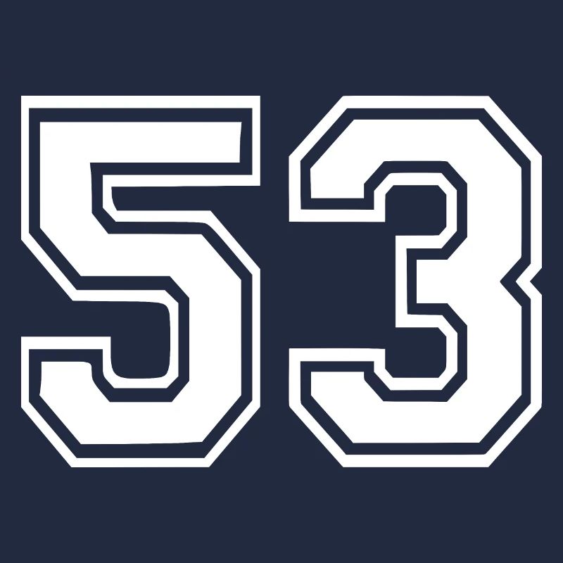 53