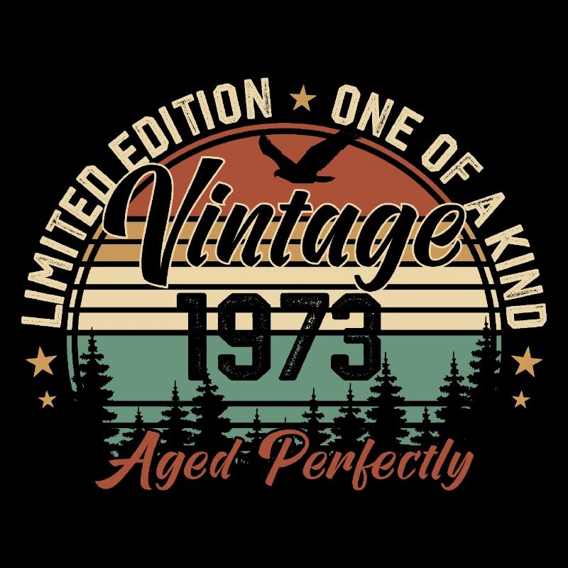 Vintage 1973 Rétro 1973 Cadeau D'anniversaire 1973