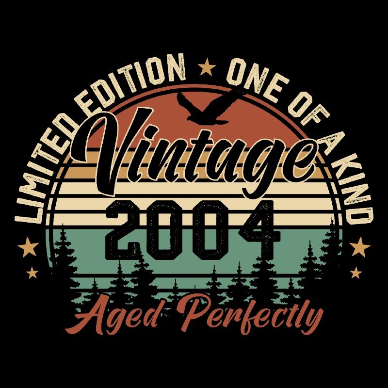 Vintage 2004 Rétro 2004 Cadeau D'anniversaire 2004