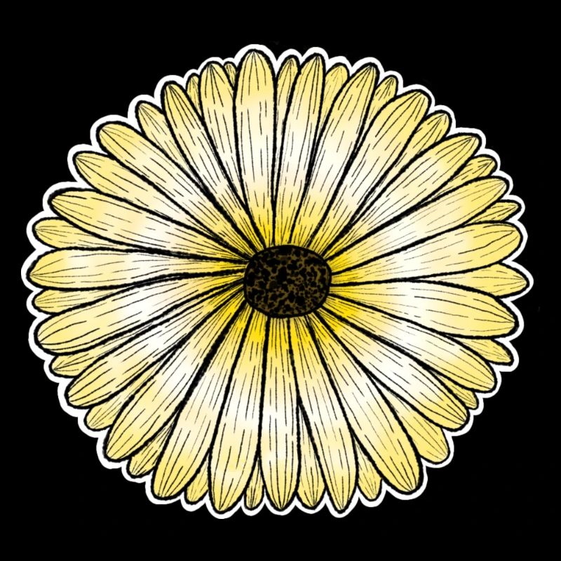 Marguerite jaune