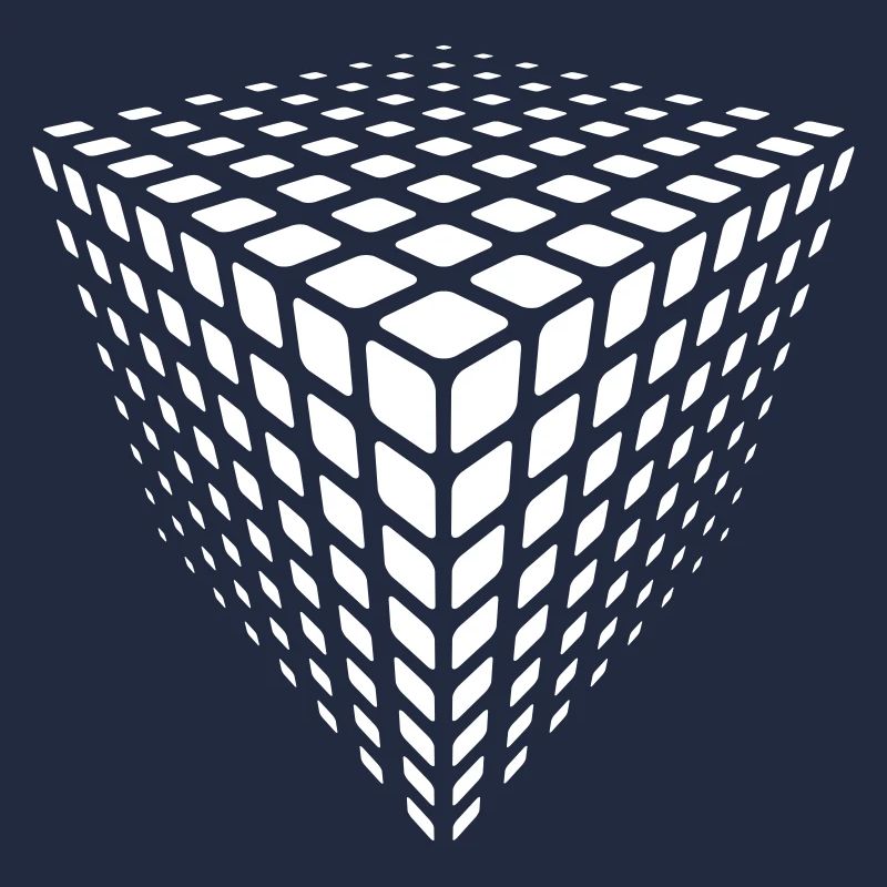 Monochrome Grid Cube Illusion