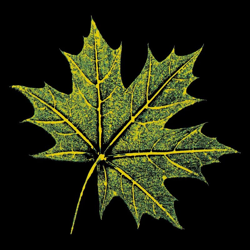 Feuille d’érable - Forêt et nature BOTANIK