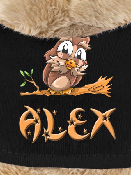 Owl Alex