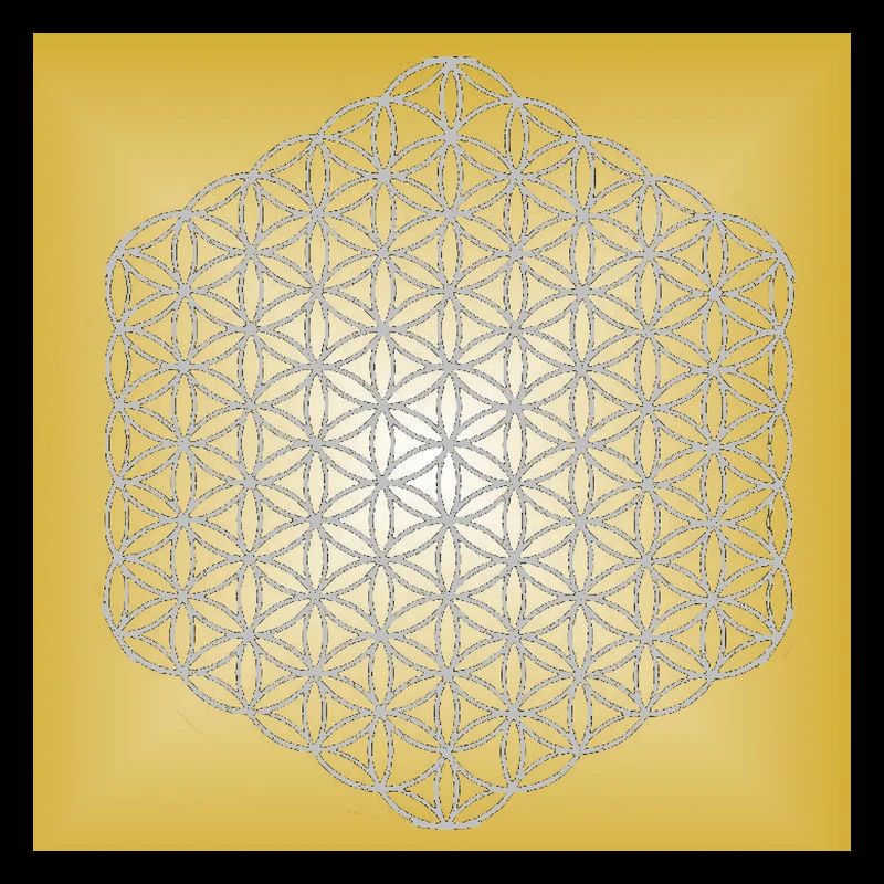 Blume des Lebens silber - 5. Dimension