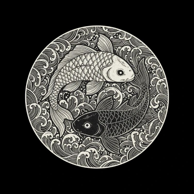 Carpe koi