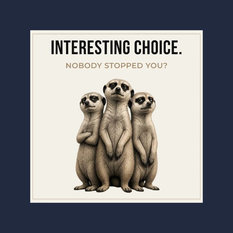 Trio de suricates à choix intéressant