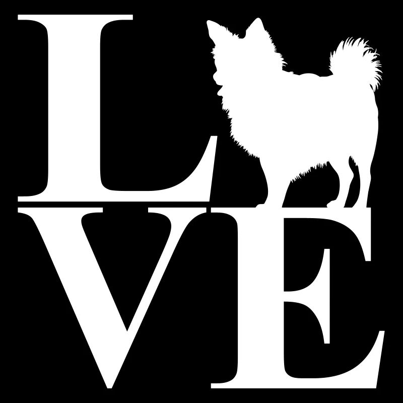 Amour Chihuahua