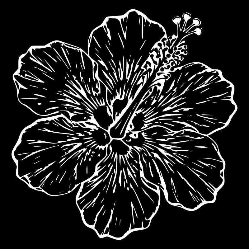 Cadeau de Noël de fleurs d’hibiscus hawaïen, fleurs d’hibiscus