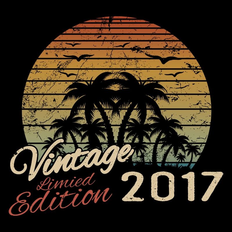 Vintage 2017 Anniversaire Cadeau 2017 Rétro 2017