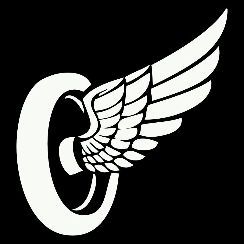 Tire Wings
