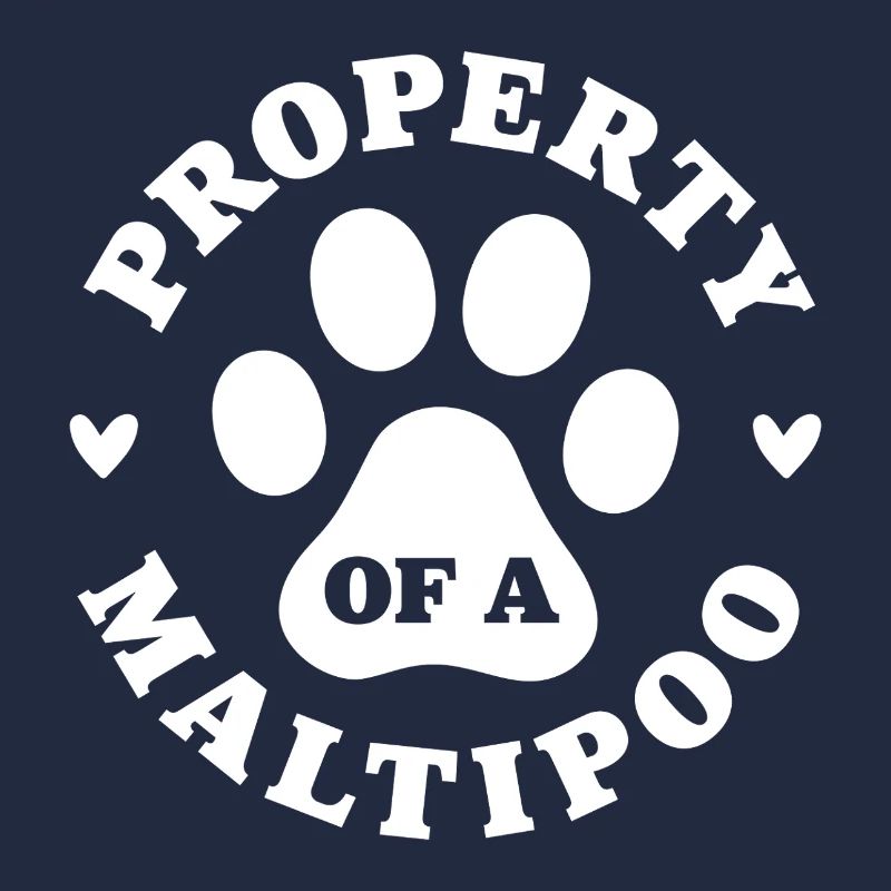 Eigentum eines Maltipoo