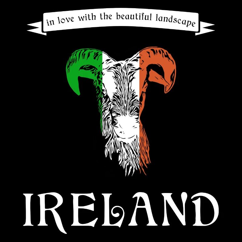 Ireland Irland sheep