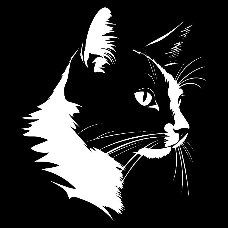 Chat, Motif De Chat
