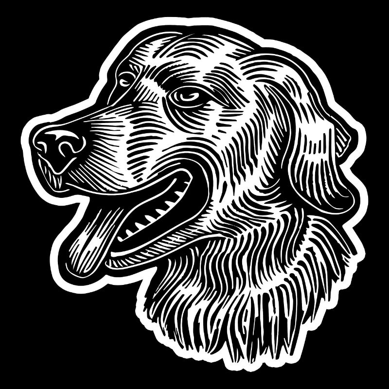 Golden Retriever Dog