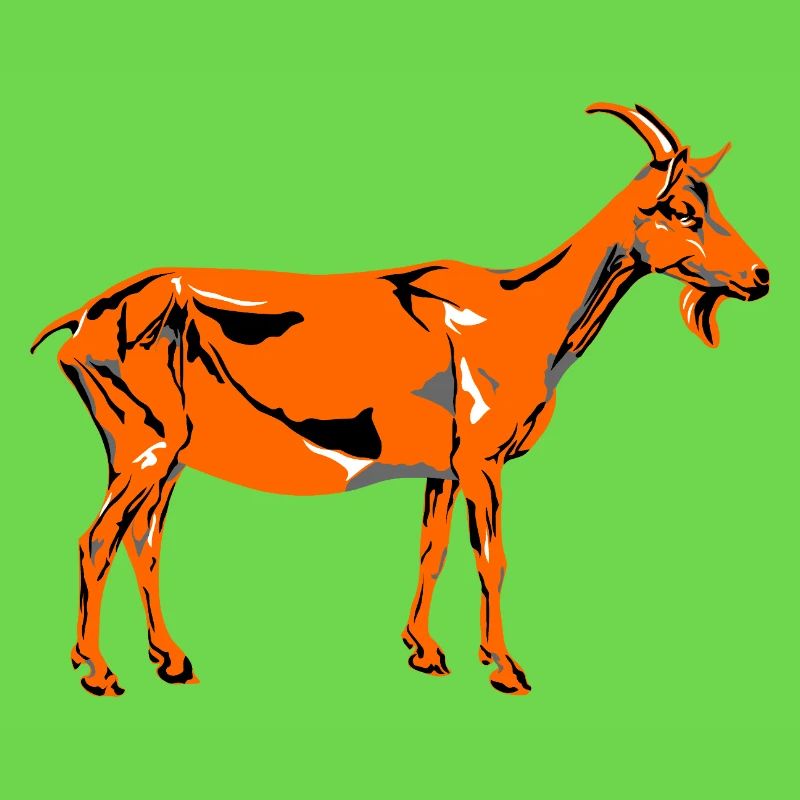 Chèvre de la Saint-Patrick