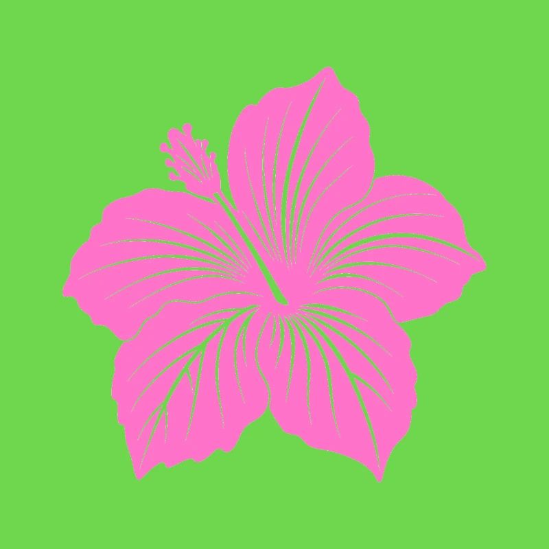 Fleur d’hibiscus