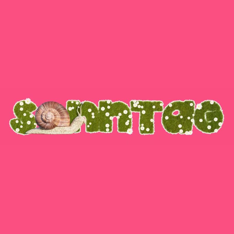 Escargot du dimanche