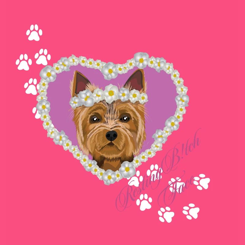 Ruhender Tch-Face Yorksire Terrier