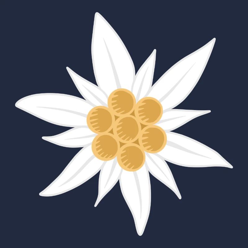 edelweiss flower