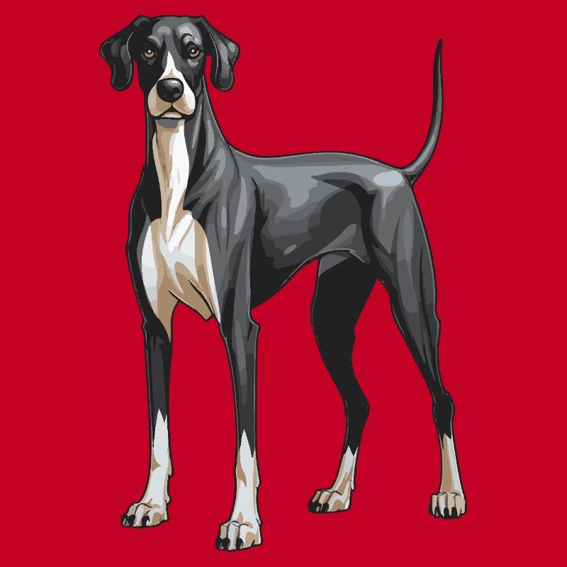 Great Dane Dog
