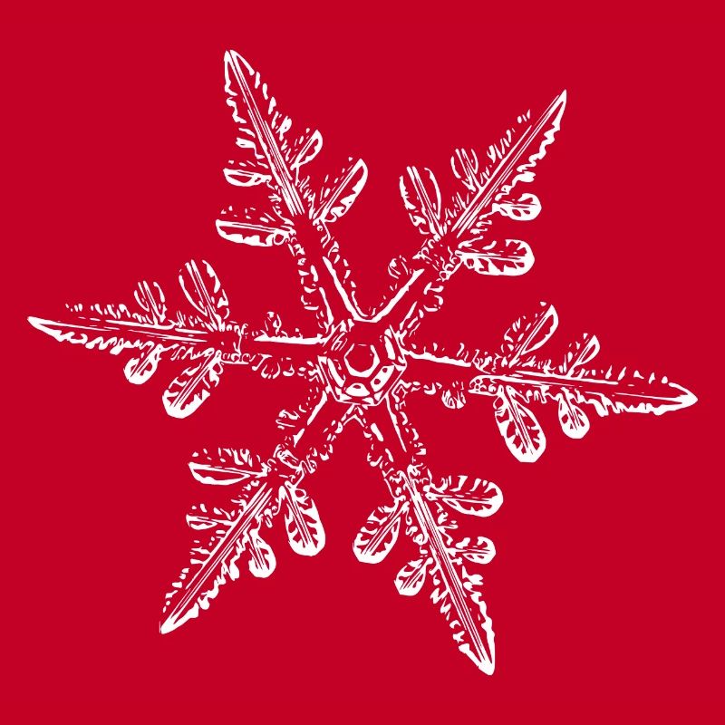snowflake 8 white