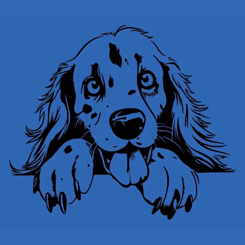 Setter mignon