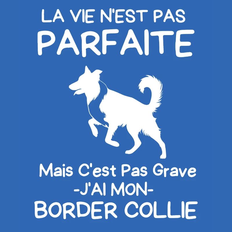 École canine border collie 1