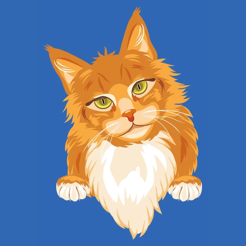 Chat roux timide et mignon