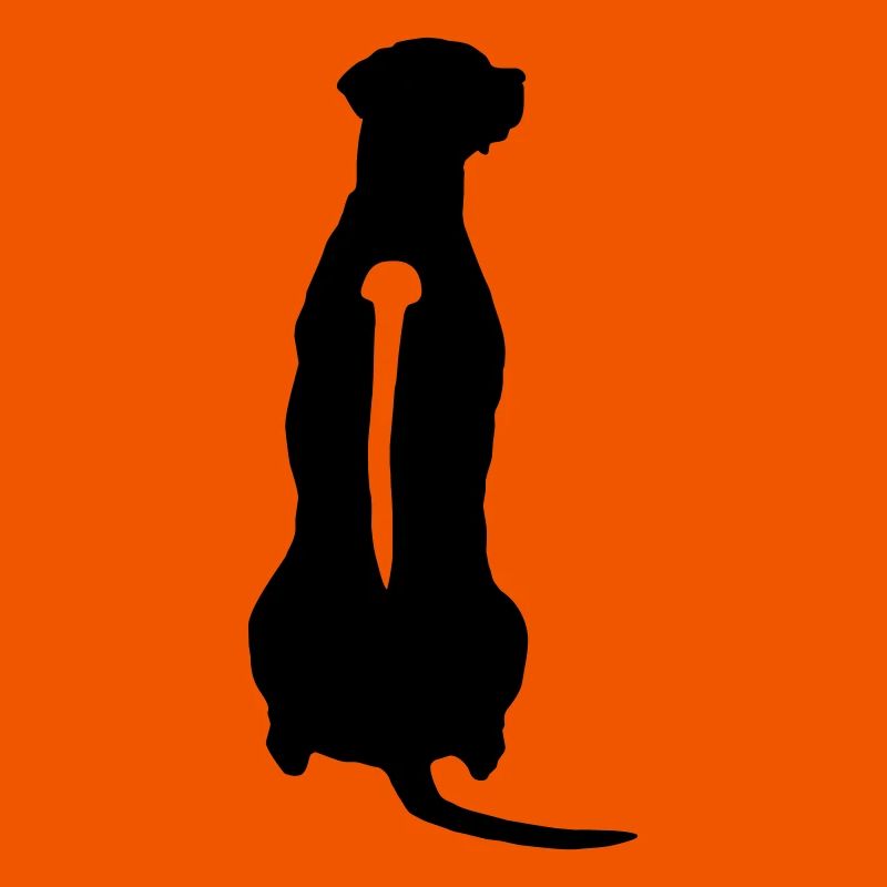 Rhodesian Ridgeback Back