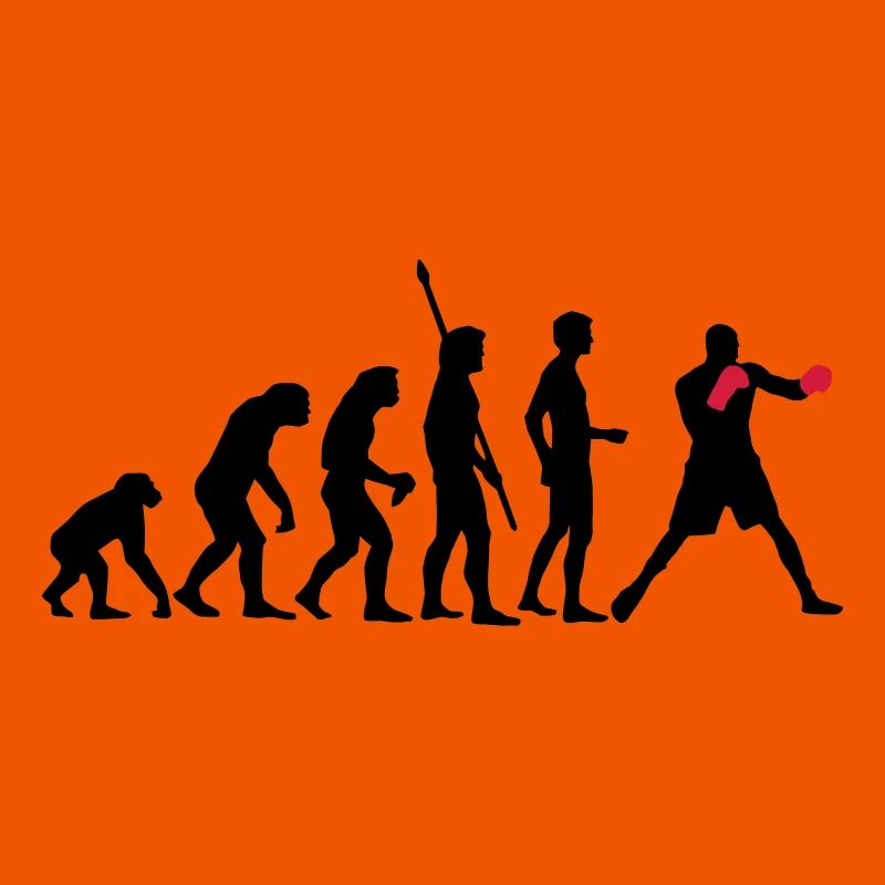 evolution_boxen_b_2c