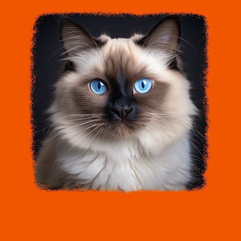 Birman Cat Birma Katze