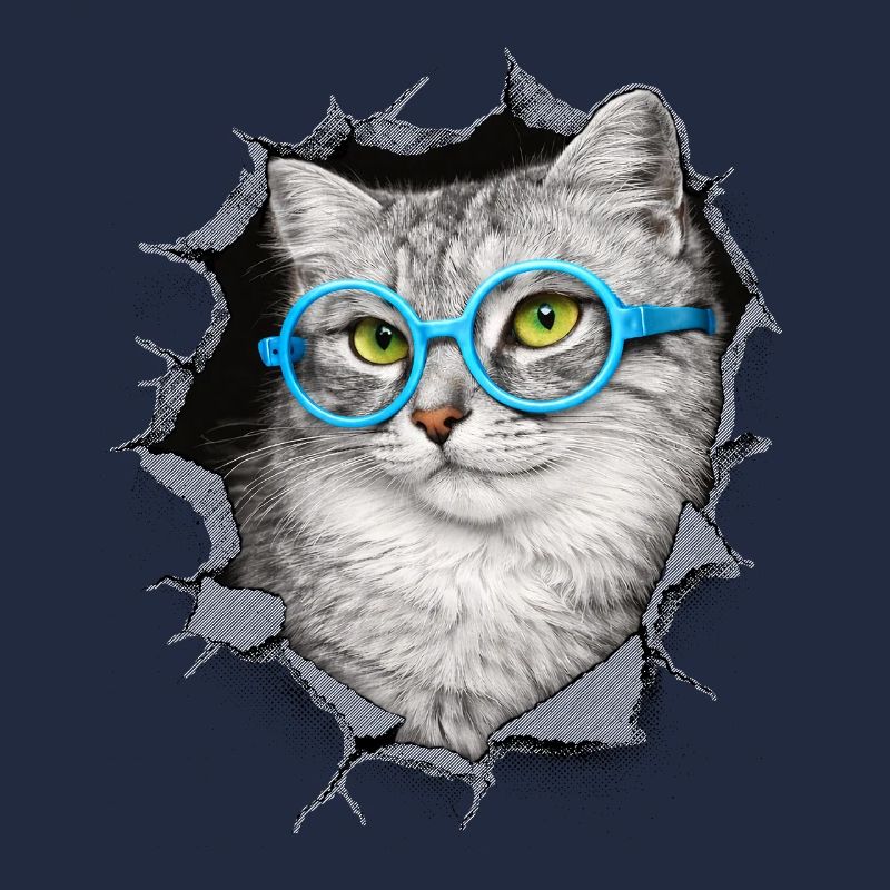 Chat mignon – Arts techniques mixtes Blue Glasses