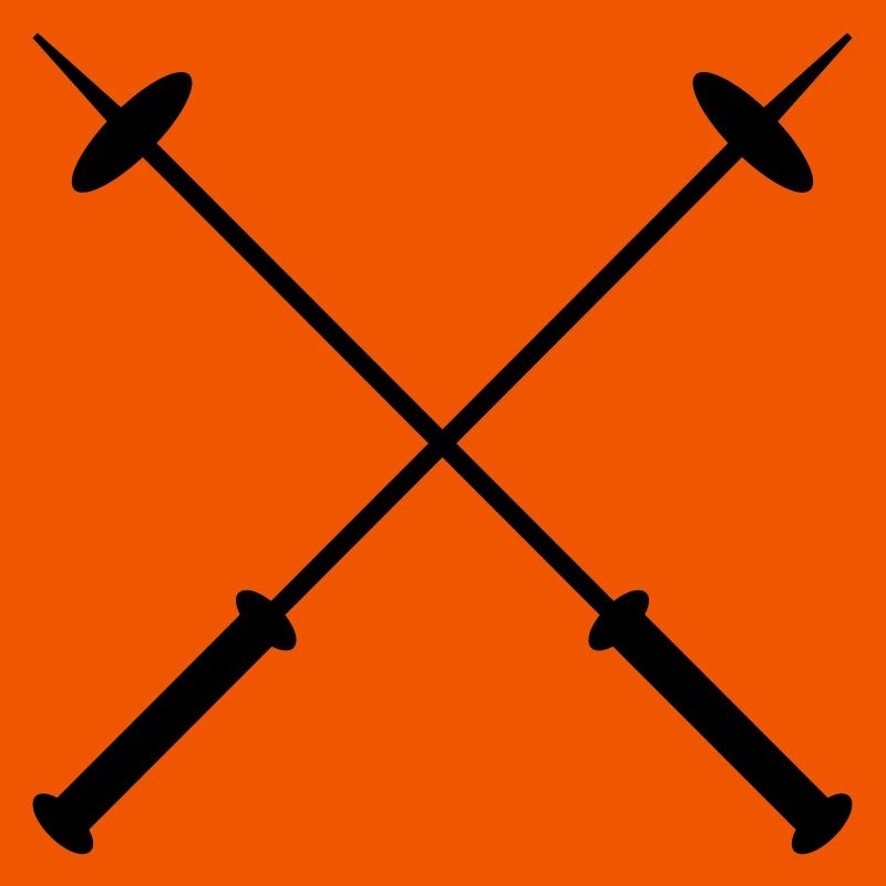 bâtons de ski