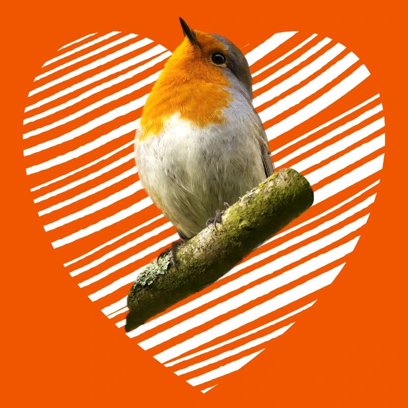 Rotkehlchen Singvogel