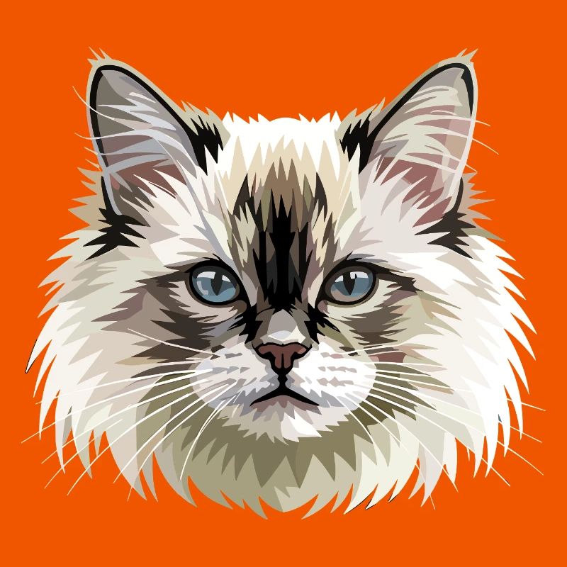 Chat Birman Chat Birman Sacré Chat Birman Mignons Chats Birman