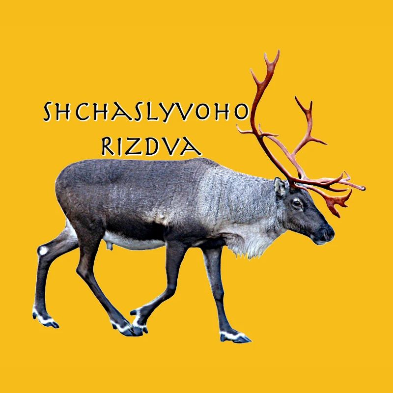 Schtschalwoho Rizdva