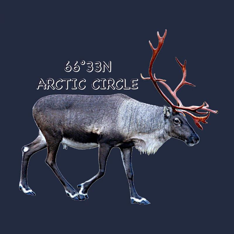Arctic Circle