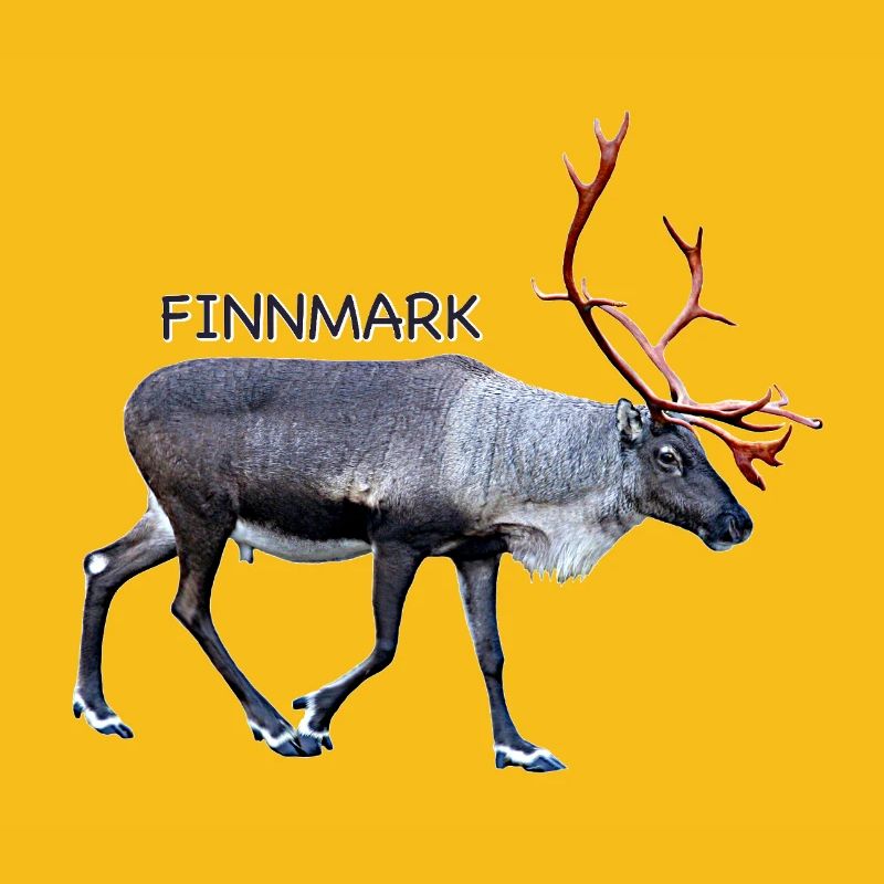 FINNMARK