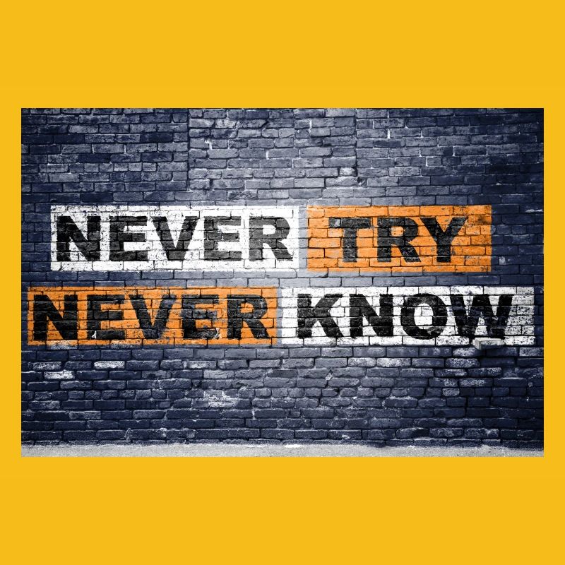Never Try never know Brick Wall Motivation